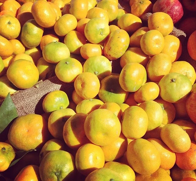 photo 2.PNG