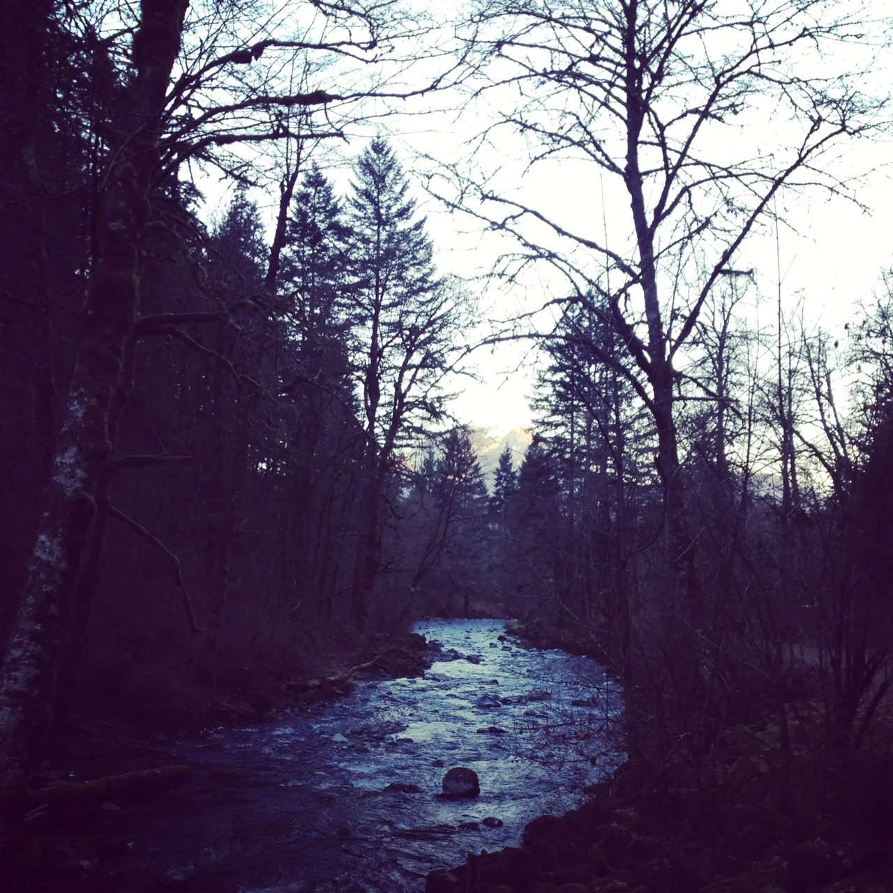 photo 4.JPG