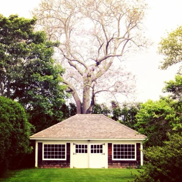 photo 3.JPG