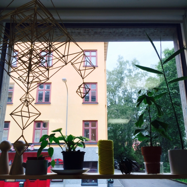 photo 1.JPG