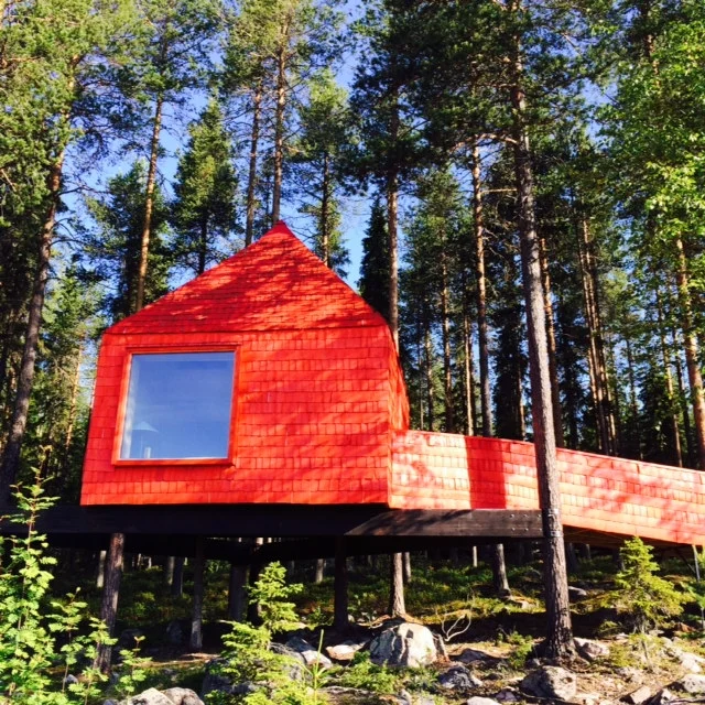 photo 3.JPG
