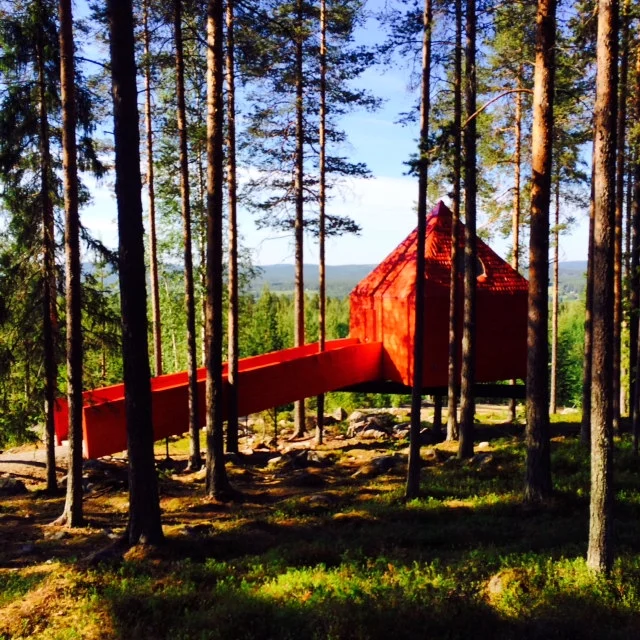 photo 5.JPG