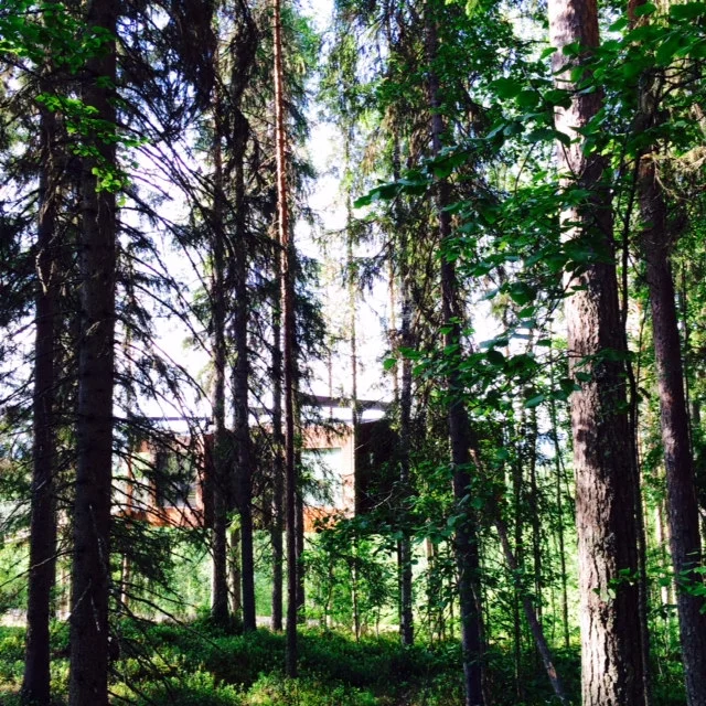 photo 4.JPG