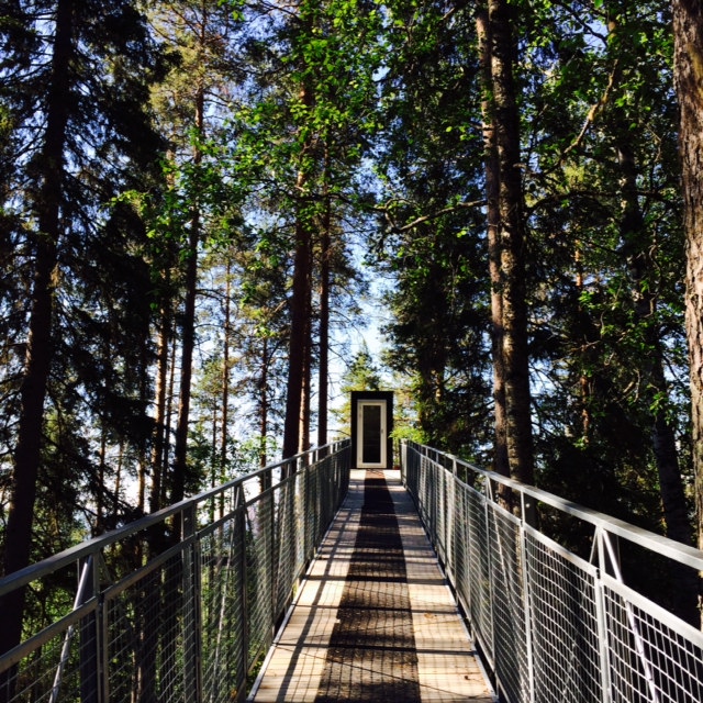 photo 1.JPG
