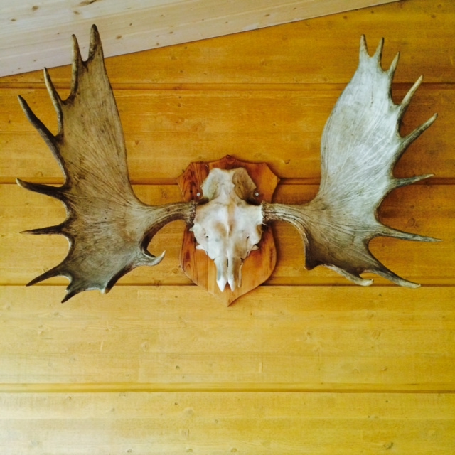 photo 3.JPG