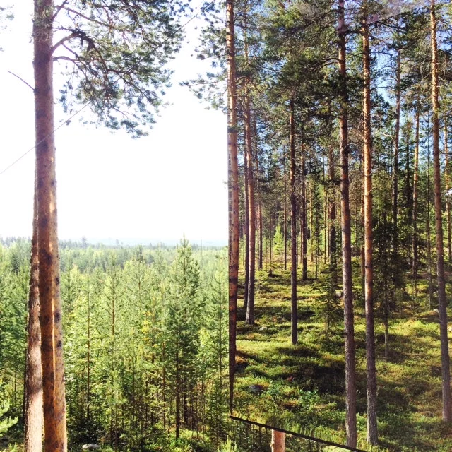 photo 2.JPG