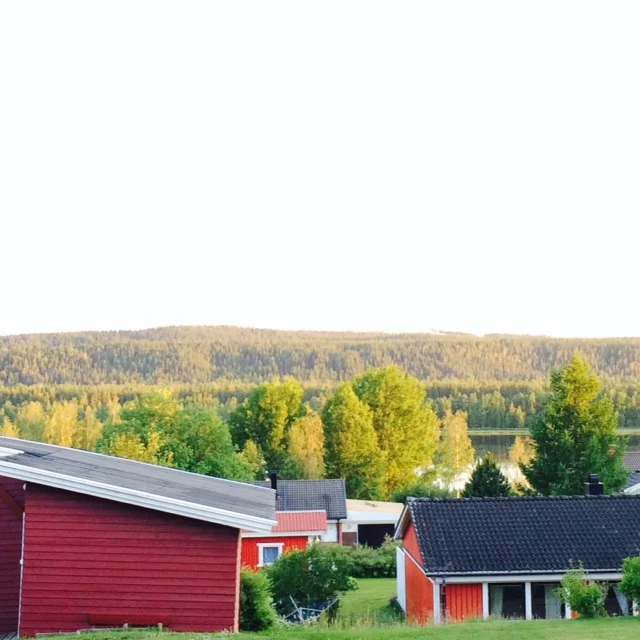photo 2.JPG