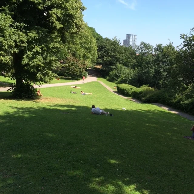 photo 2.JPG
