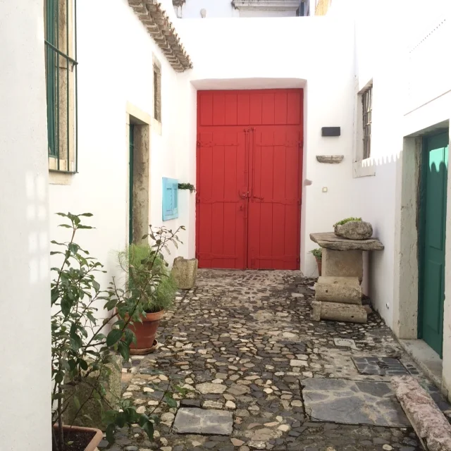 photo 1.JPG