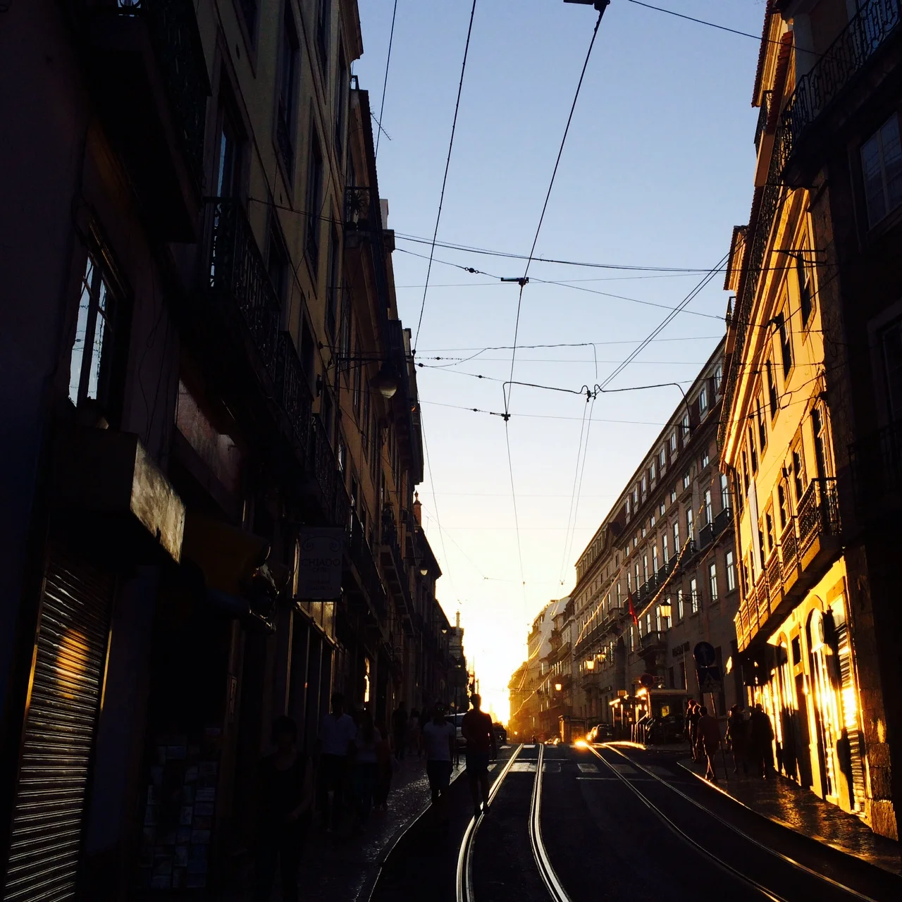 photo 1.JPG