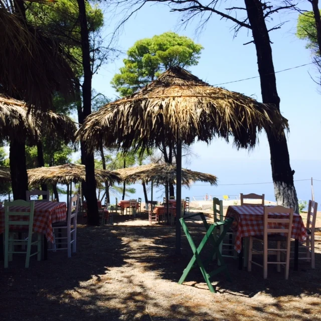 photo 3.JPG