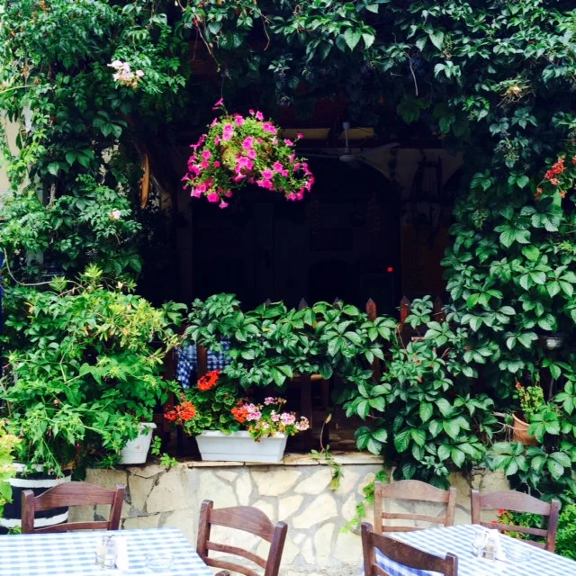 photo 2.JPG