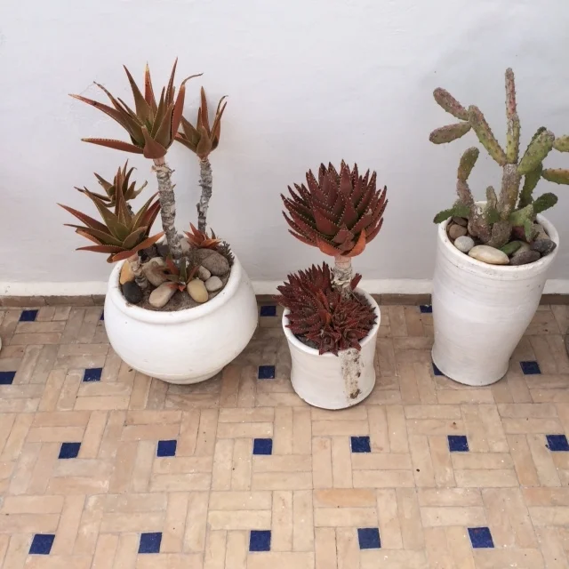 photo 3.JPG