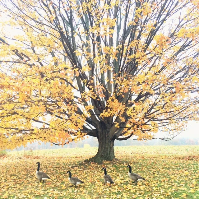 photo 2.JPG
