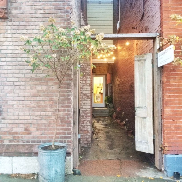 photo 3.JPG