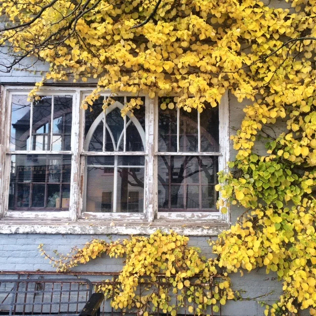 photo 2.JPG