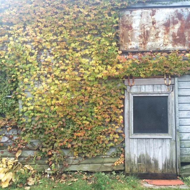 photo 5.JPG