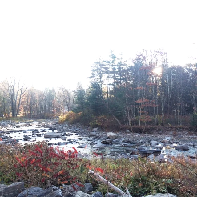 photo 3.JPG