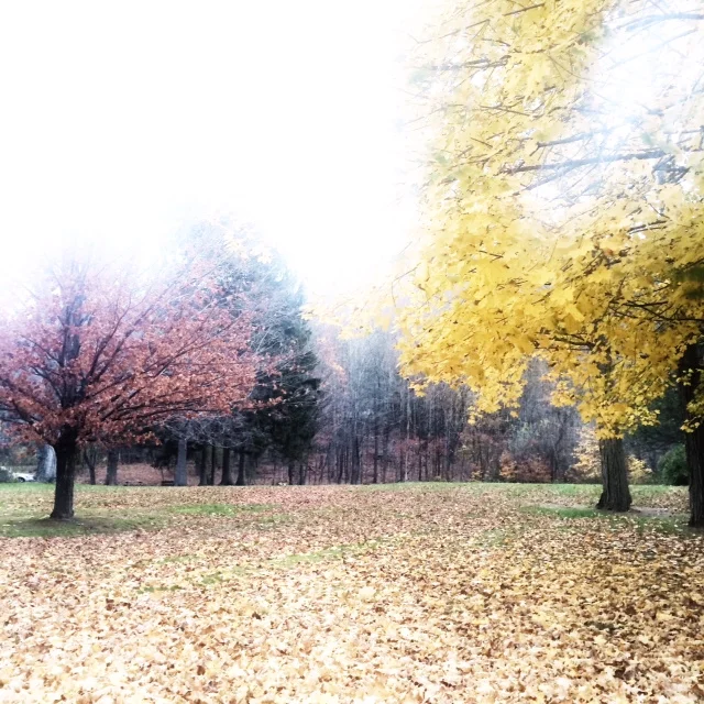 photo 5.JPG