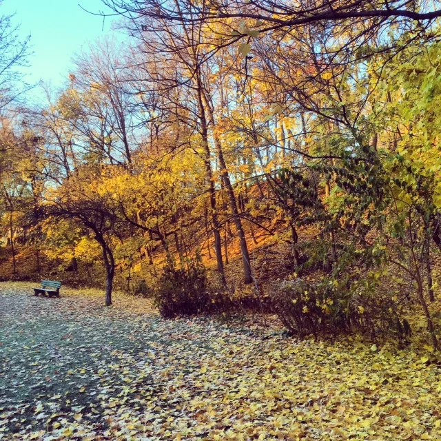 photo 5.JPG