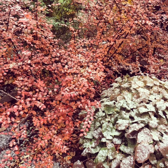 photo 5.JPG