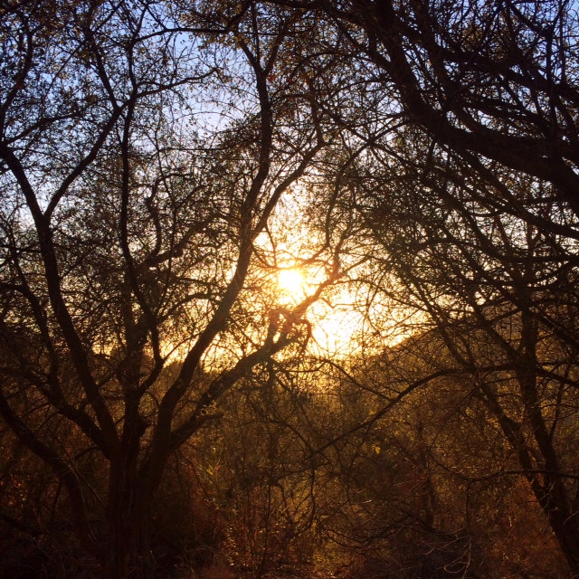 photo 2.JPG