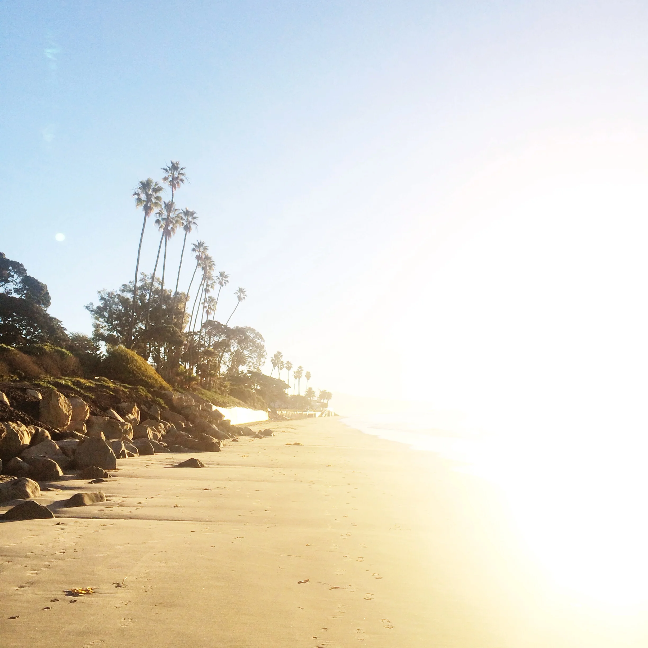 photo 1.JPG