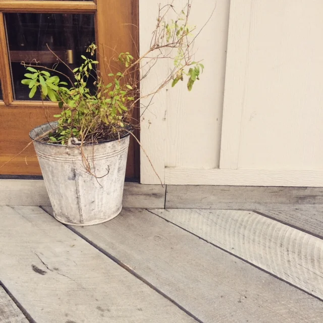 photo 5.JPG