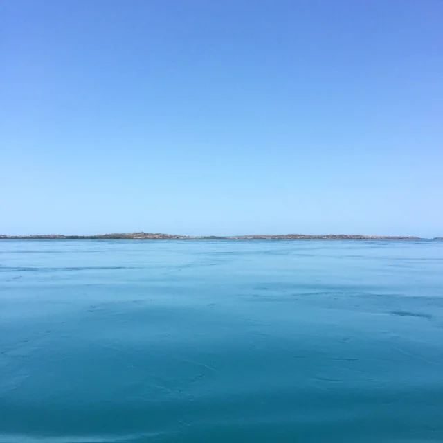 IMG_9499.JPG