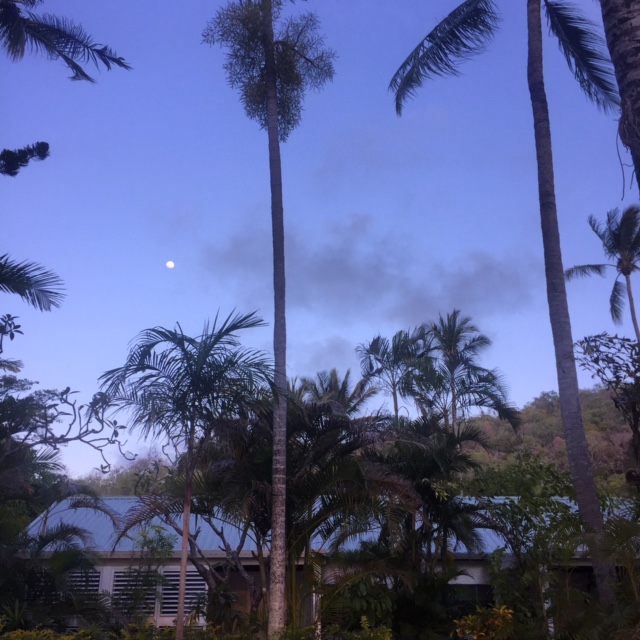 B0029262-D122-40ED-89A3-B9E21C0B06D4.JPG