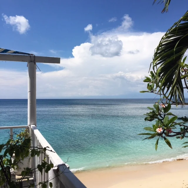 IMG_5503.JPG