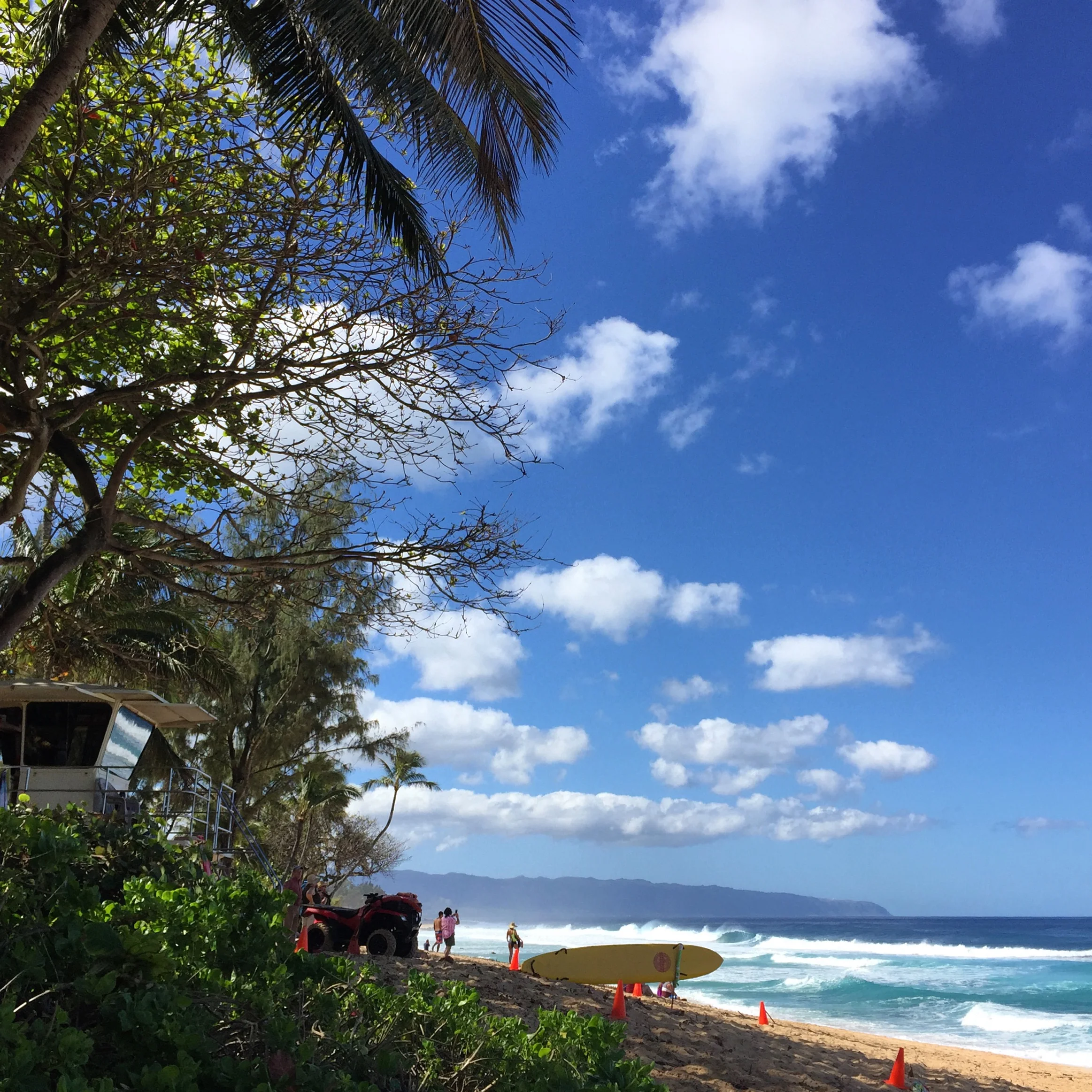 IMG_2820.JPG