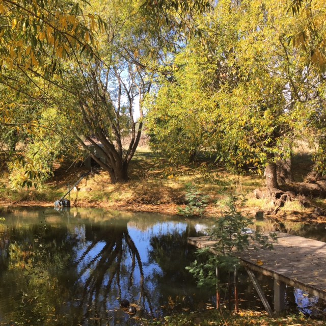 kyneton_guide_itsbeautifulhere25.jpeg