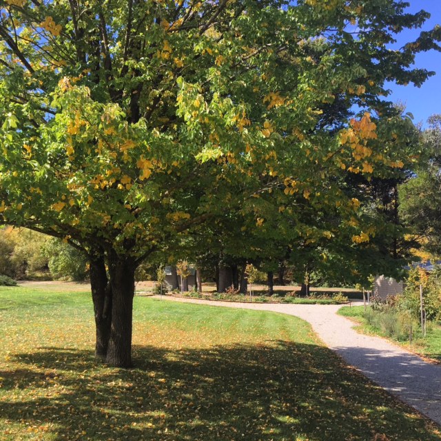 kyneton_guide_itsbeautifulhere23.jpeg