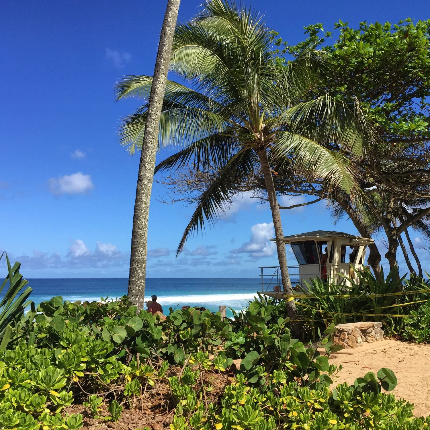 oahu_guide_itsbeautifulhere04.jpeg