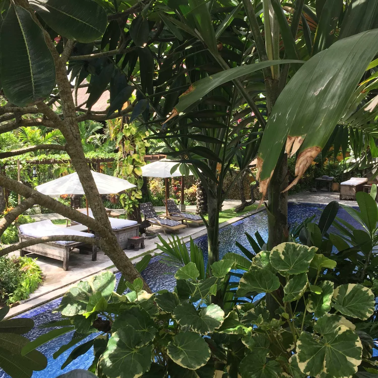 canggu_guide_itsbeautifulhere24.jpg