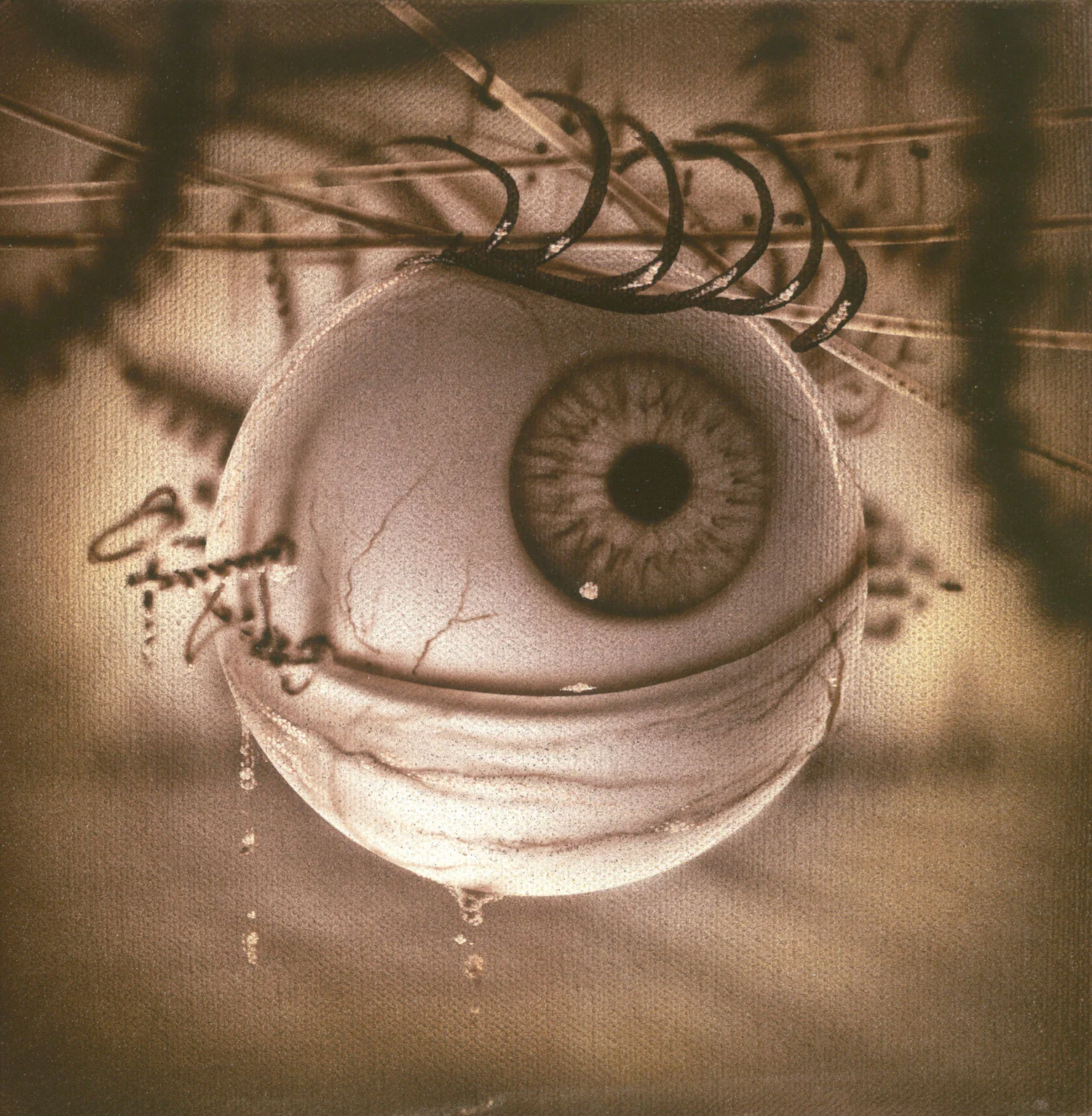 Brammer-New4.jpg