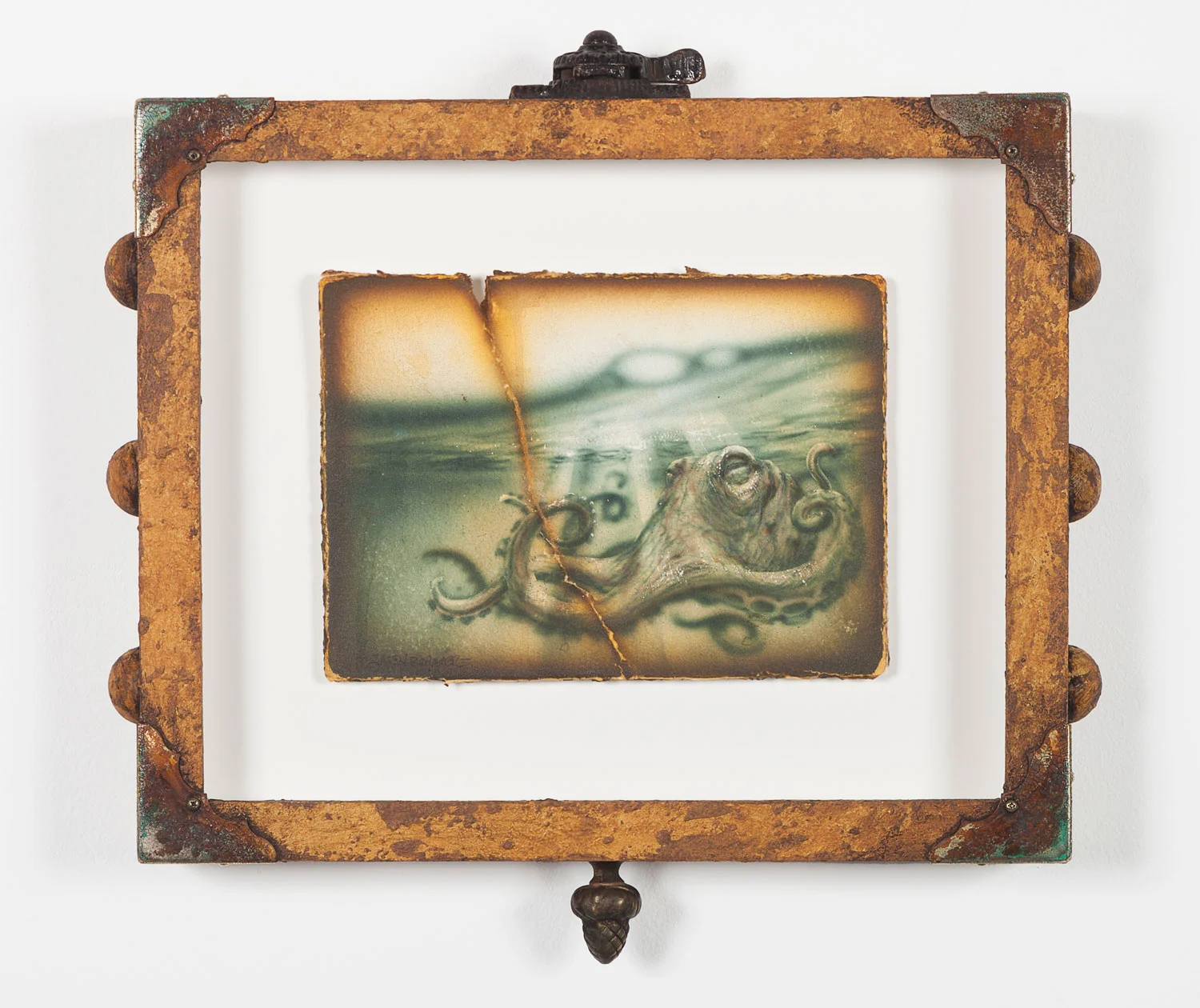 Brammer_Creature-Of-The-Deep-XII_framed.jpg