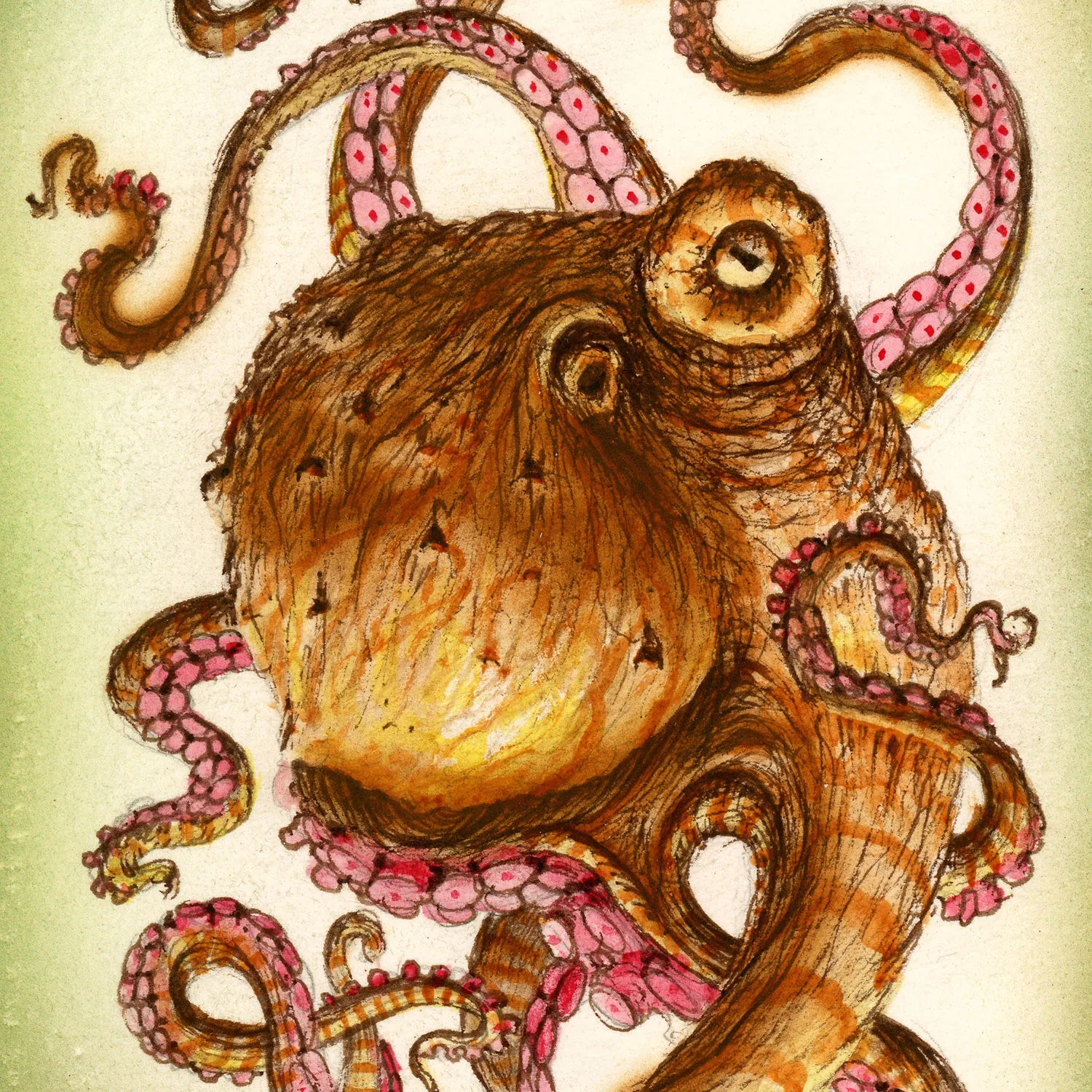 Brammer_Octopod-Specimen-A_thumb.jpg