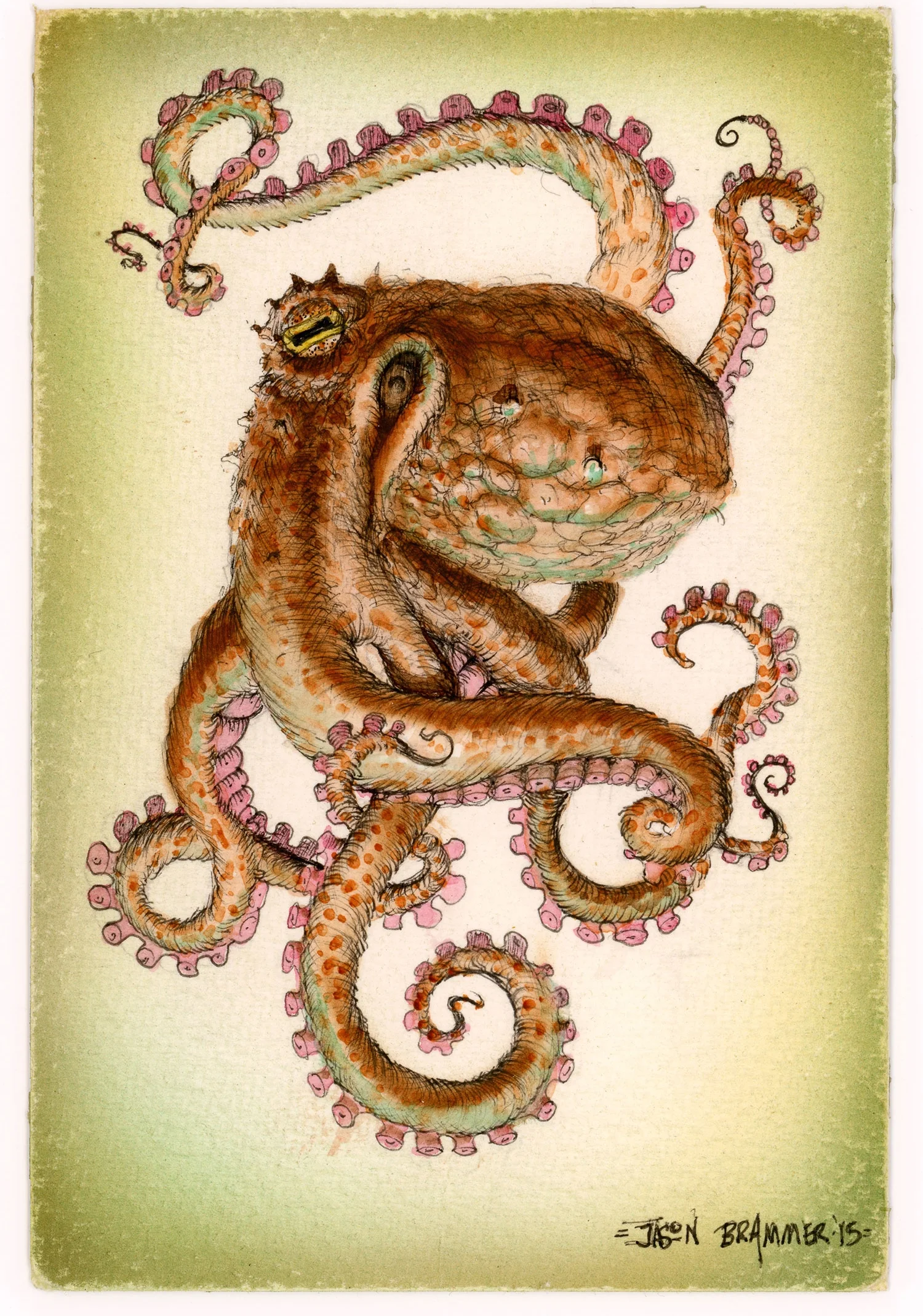 Brammer_Octopod-Specimen-C.jpg