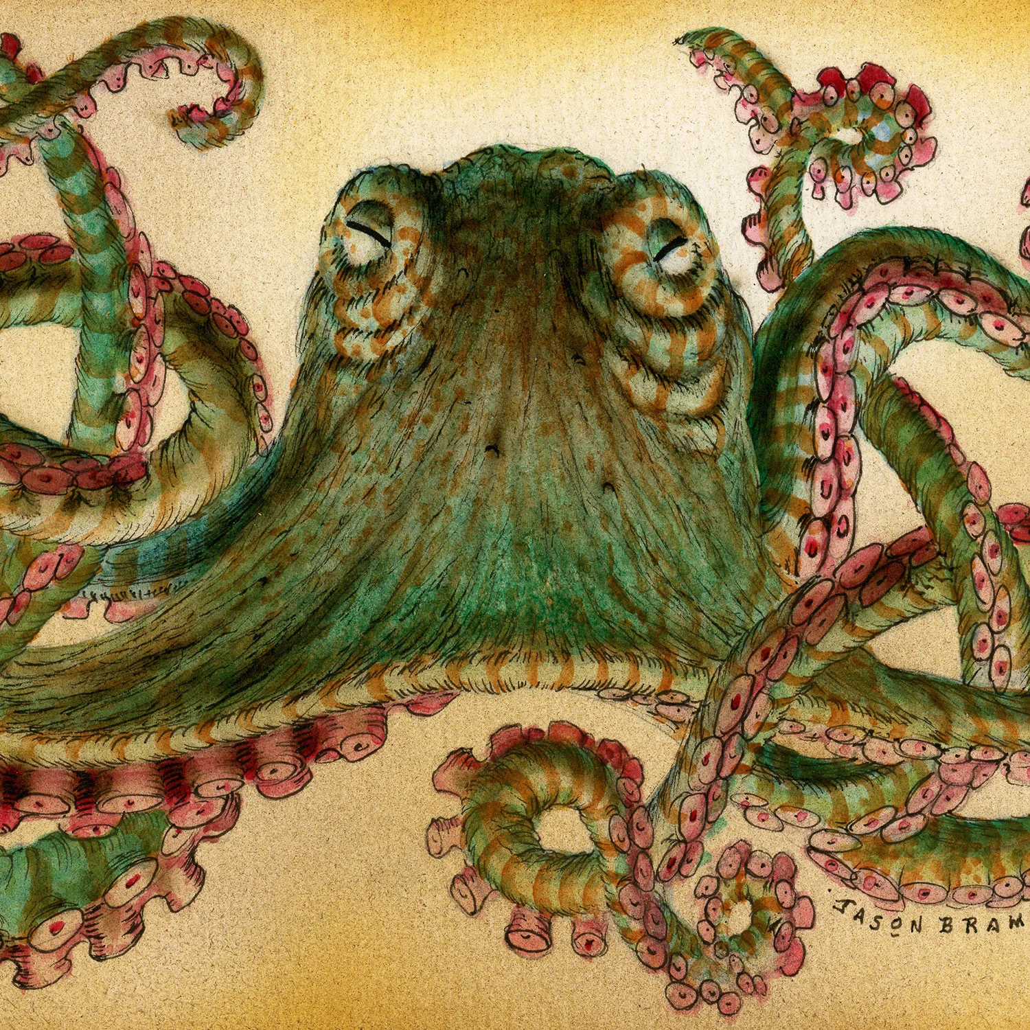 Brammer_Octopod-Specimen-E_thumb.jpg