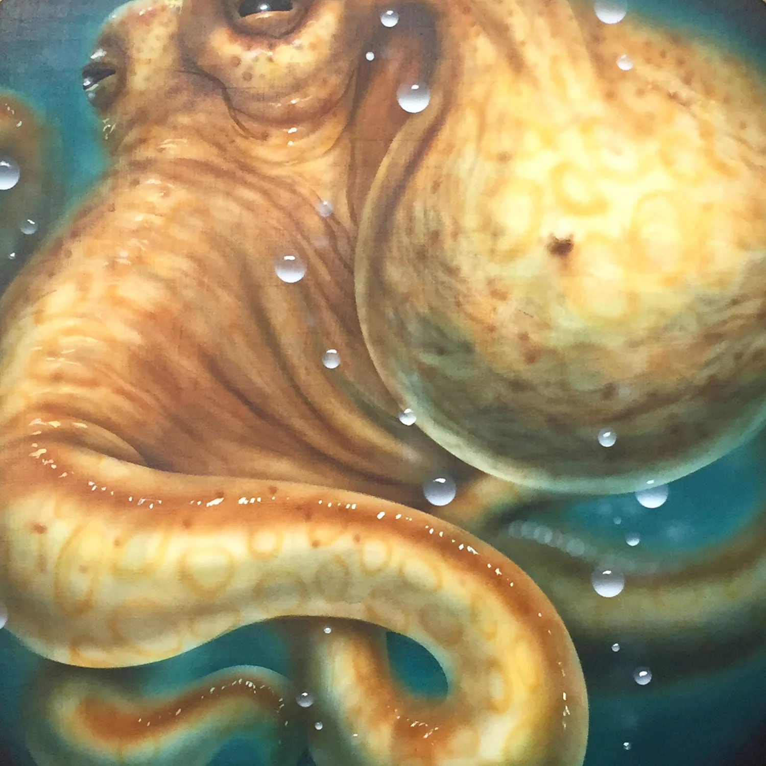 Brammer_Golden-Octopod-Specimen-H_thumb.jpg