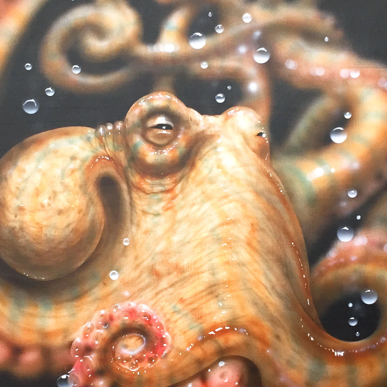 Brammer_Golden-Octopod-Specimen-I_thumb.jpg