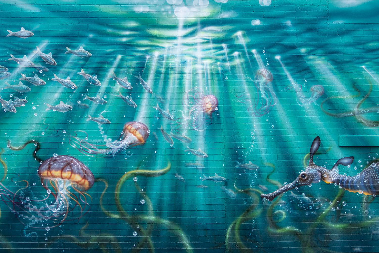 Mural for Shedd Aquarium