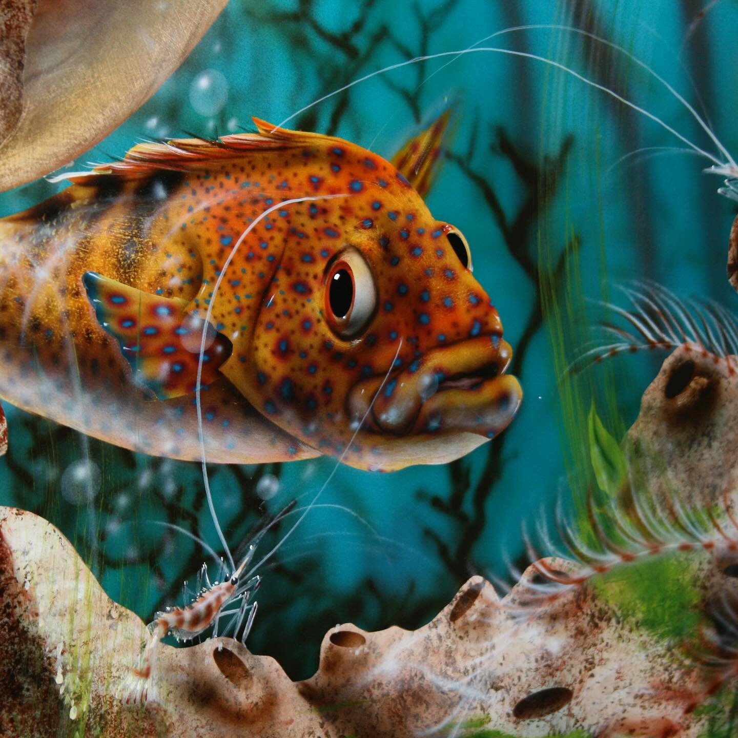 A residential underwater mural from a little while ago, where this little shrimp cleans the fish in their underwater ecosystem.