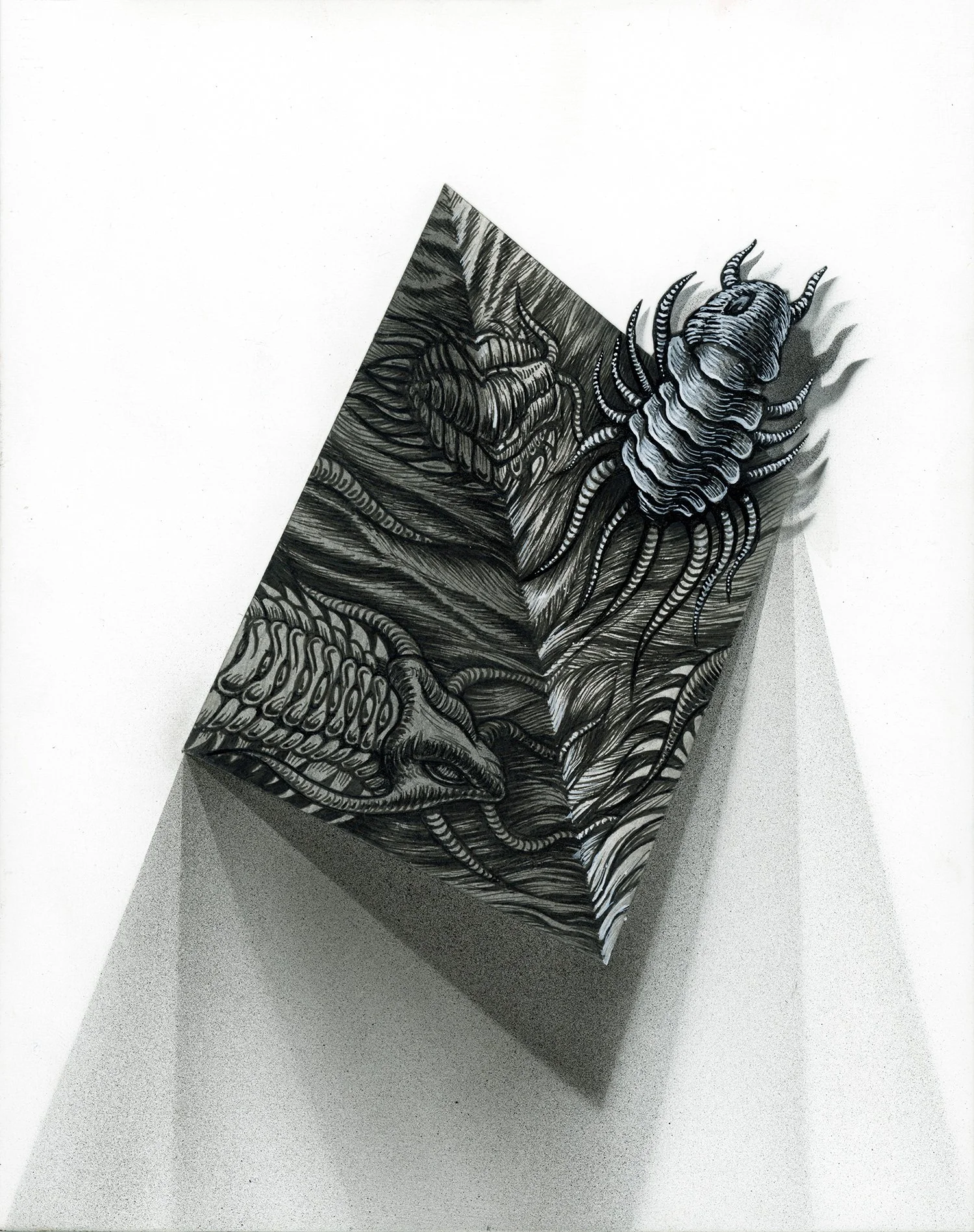 Flight of the Trilobite-Specimen No. 3_crop_20250924_08382448.jpg