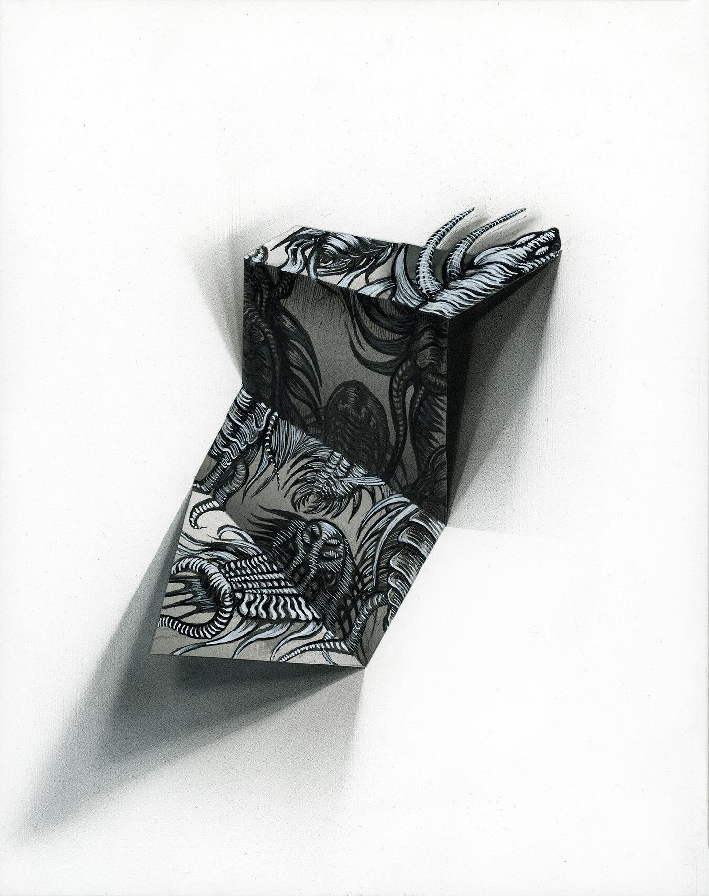 I am beyond thrilled to debut these (and more) brand new Trilobite dip pen ink drawings @chicagotruborn this Fridayf Oct. 3rd from 5-8pm! Are these drawings folded, flat or floating? Come see for yourself&hellip; I will be creating some installations