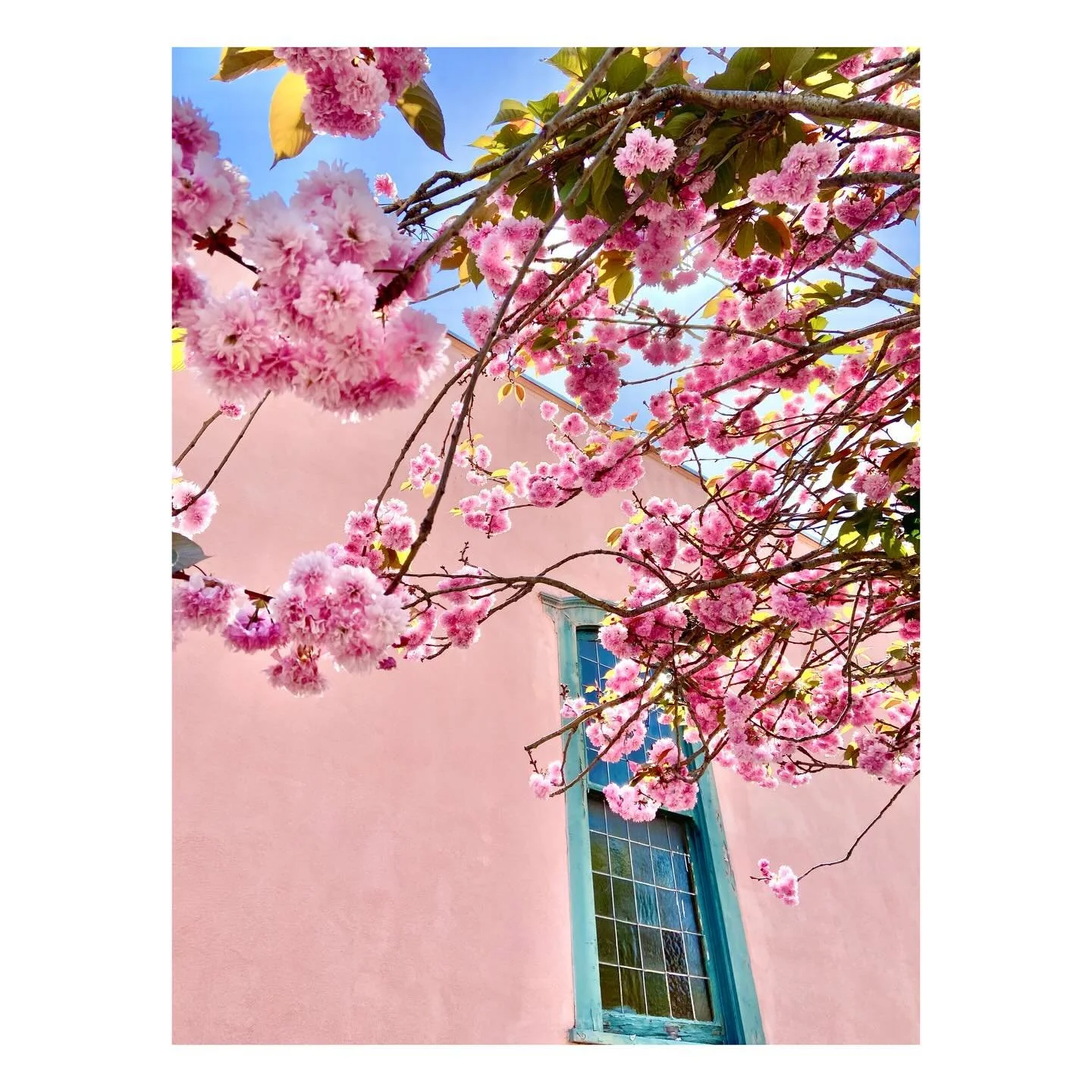 pink on pink
