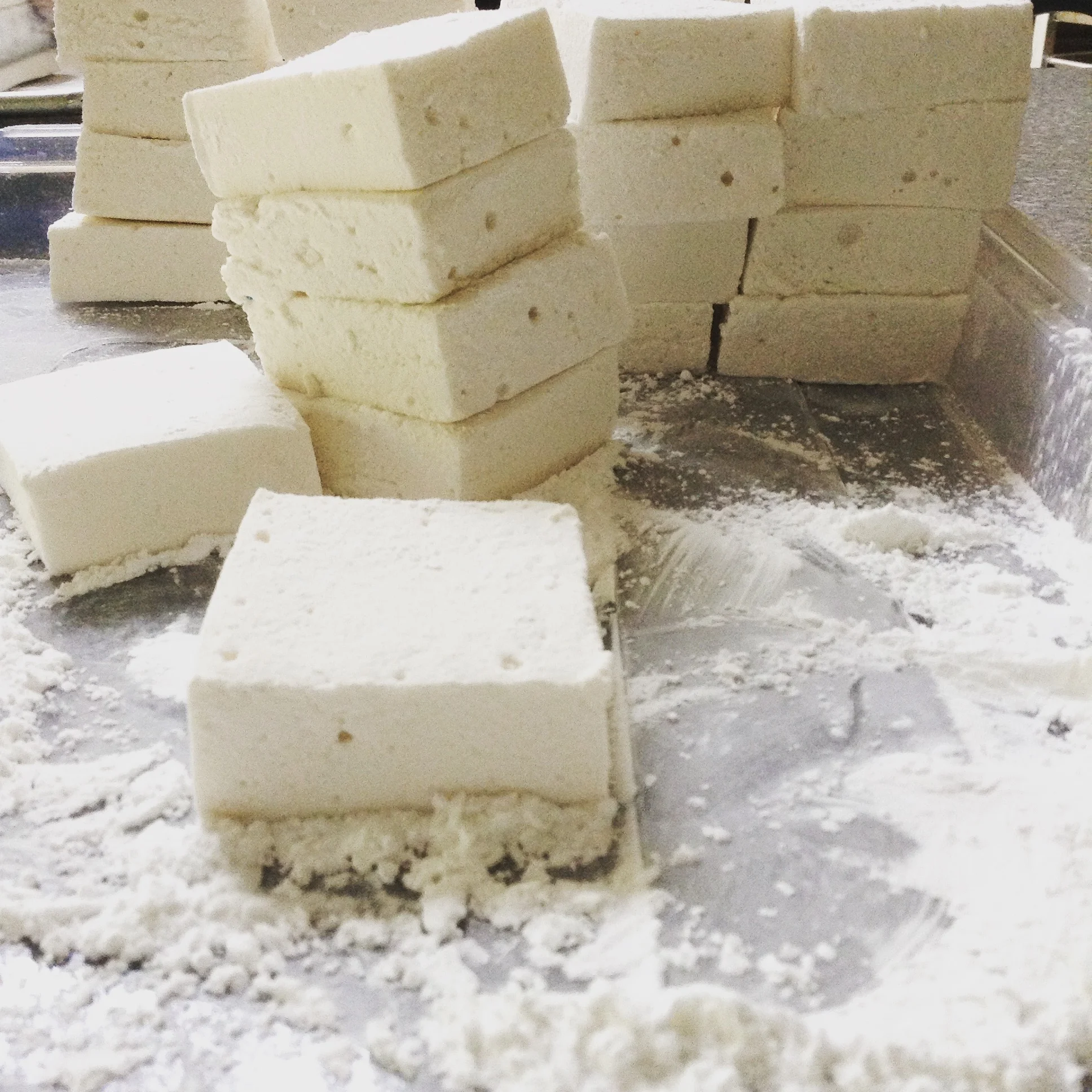 8CE2E4D3-FC2B-4799-8C28-A337ECDC977B (1).JPG