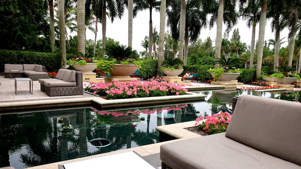 And, as part of the auction experience, the hotel the auction was held: The Hyatt Regency Coconut Point.